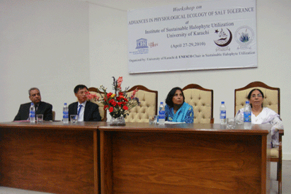 Workshop on Advances in Physiological Ecology of Salt Tolerance